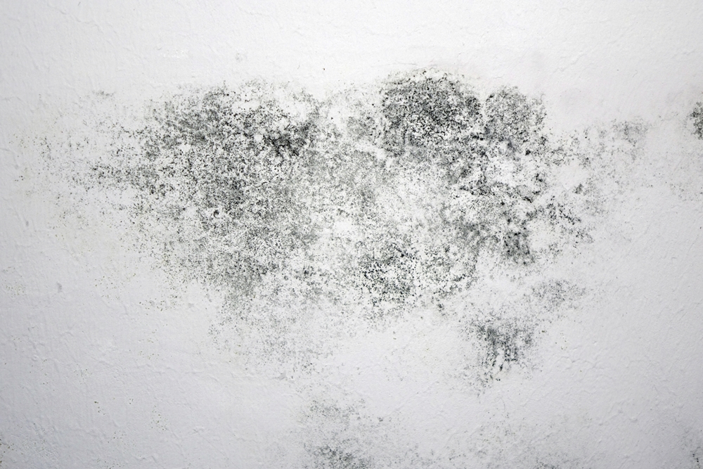 Malerei Wiesner Antiesenhofen